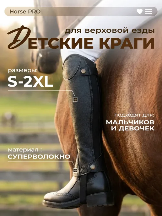 Арвейн Краги конные для верховой езды для детей, черный, фото 8