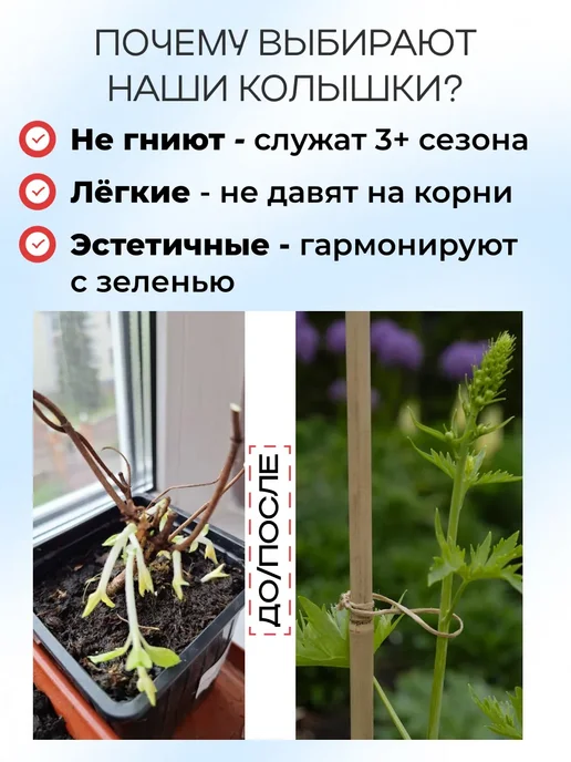 Садовита Опора для растений цветов колышки садовые, 75 см✕30шт, 60см, фото 5