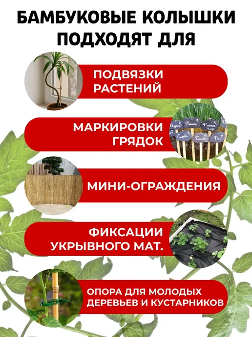 Садовита Опора для растений цветов колышки садовые, 75 см✕30шт, 60см, фото 7