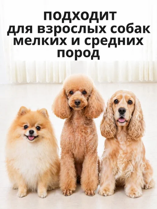 Сухой корм Mr.Wildog для собак, мелкие, индейка, 0,5 кг, фото 7