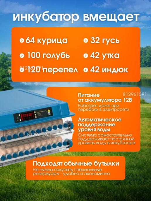 УМНИЦА ИНК Инкубатор для яиц автоматический с терморегулятором, синий, фото 2