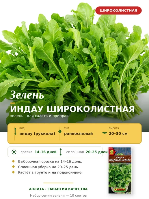 Агрофирма АЭЛИТА Семена зелени для сада и балкона, зеленый, фото 2