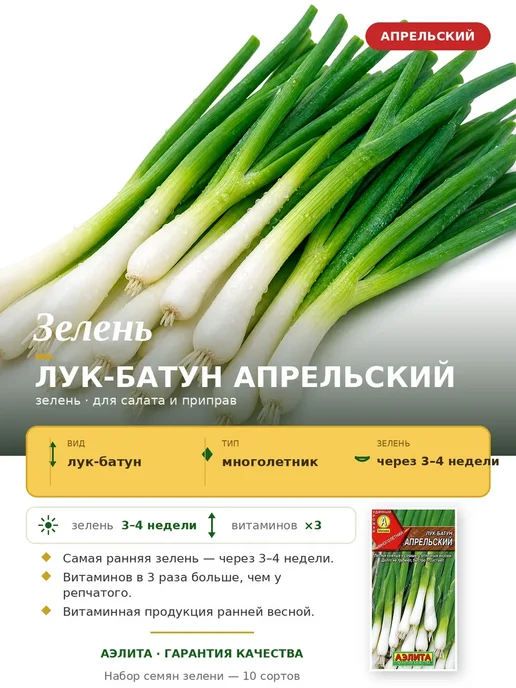 Агрофирма АЭЛИТА Семена зелени для сада и балкона, зеленый, фото 3