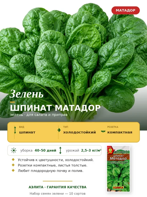 Агрофирма АЭЛИТА Семена зелени для сада и балкона, зеленый, фото 5