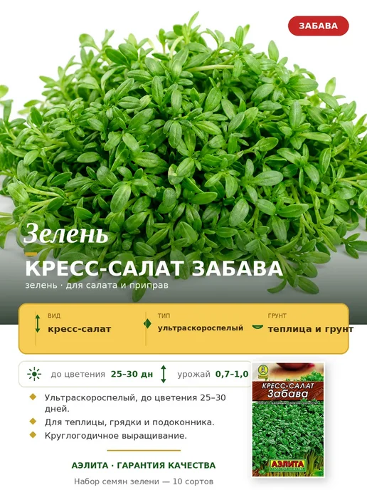 Агрофирма АЭЛИТА Семена зелени для сада и балкона, зеленый, фото 6