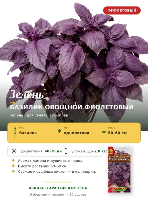 Агрофирма АЭЛИТА Семена зелени для сада и балкона, зеленый, фото 7