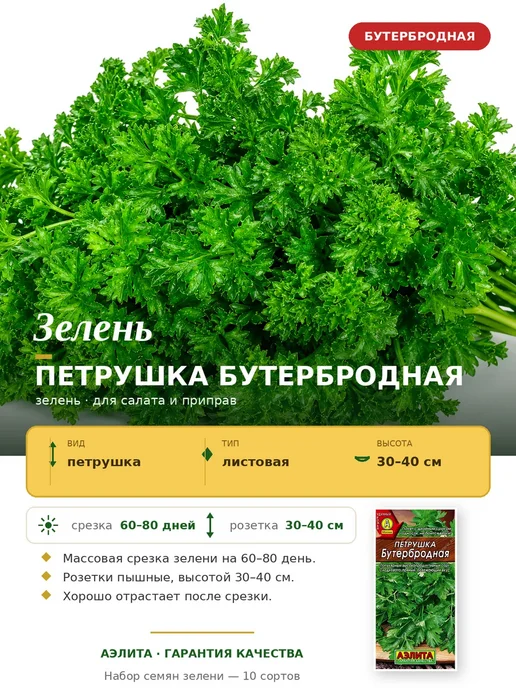Агрофирма АЭЛИТА Семена зелени для сада и балкона, зеленый, фото 8