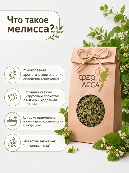 ФЕЯ ЛЕСА Мелисса (лимонная мята) сушеная для души, чая и творчества, вариант, фото 2