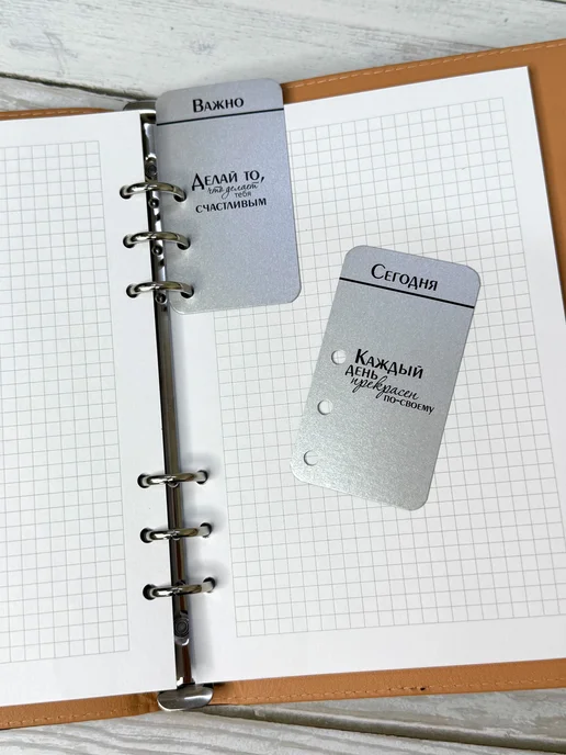 Гримуар Планер ежедневник для учителя на кольцах А5, черный, фото 8