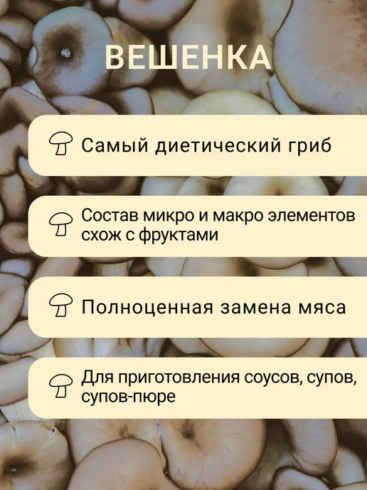 KaDaMa Nature Грибной порошок из вешенки, вариант, фото 2