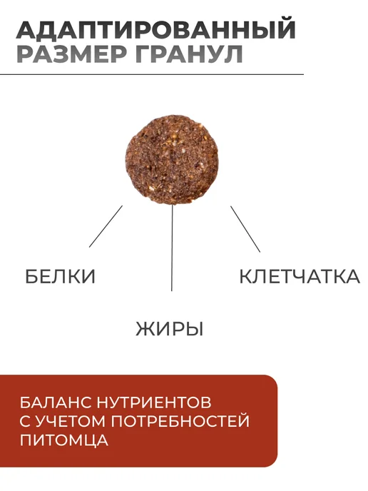 Сухой корм MONGE Dog Speciality для собак, взрослые, ягненок, 2,51 кг, фото 2