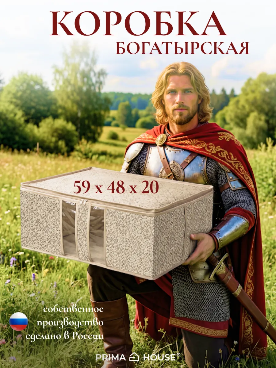 Коробка Кофр для хранения вещей 59х48х20