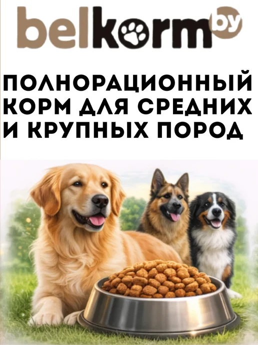 Сухой корм belkorm Рэкс для собак, крупные, 10 кг, фото 2