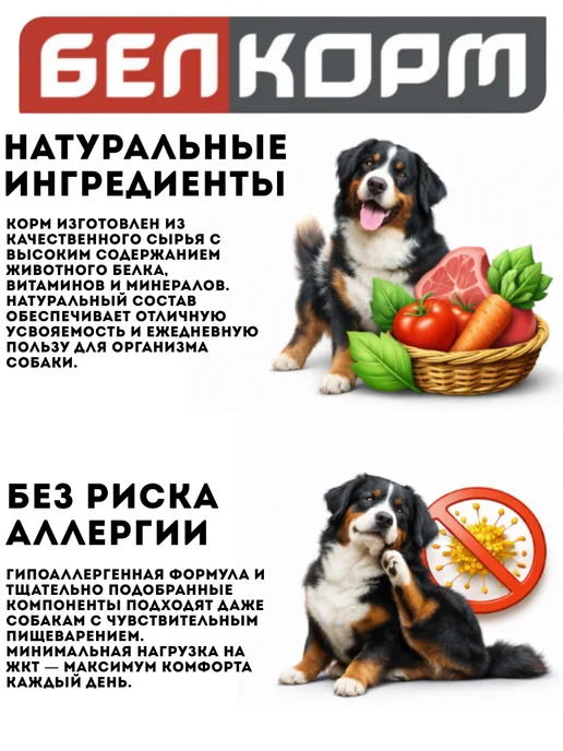 Сухой корм belkorm Рэкс для собак, крупные, 10 кг, фото 4