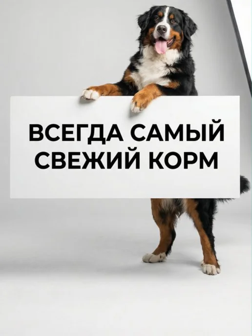 Сухой корм belkorm Рэкс для собак, крупные, 10 кг, фото 6