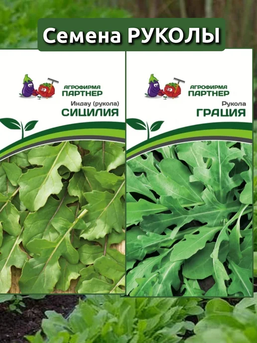 Агрофирма Партнер Семена руколы Сицилия, Грация, 2 шт