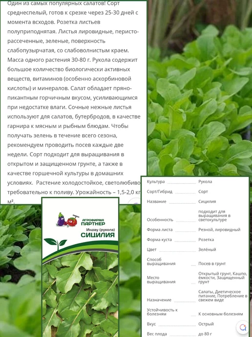 Агрофирма Партнер Семена руколы Сицилия, Грация, 2 шт, фото 3