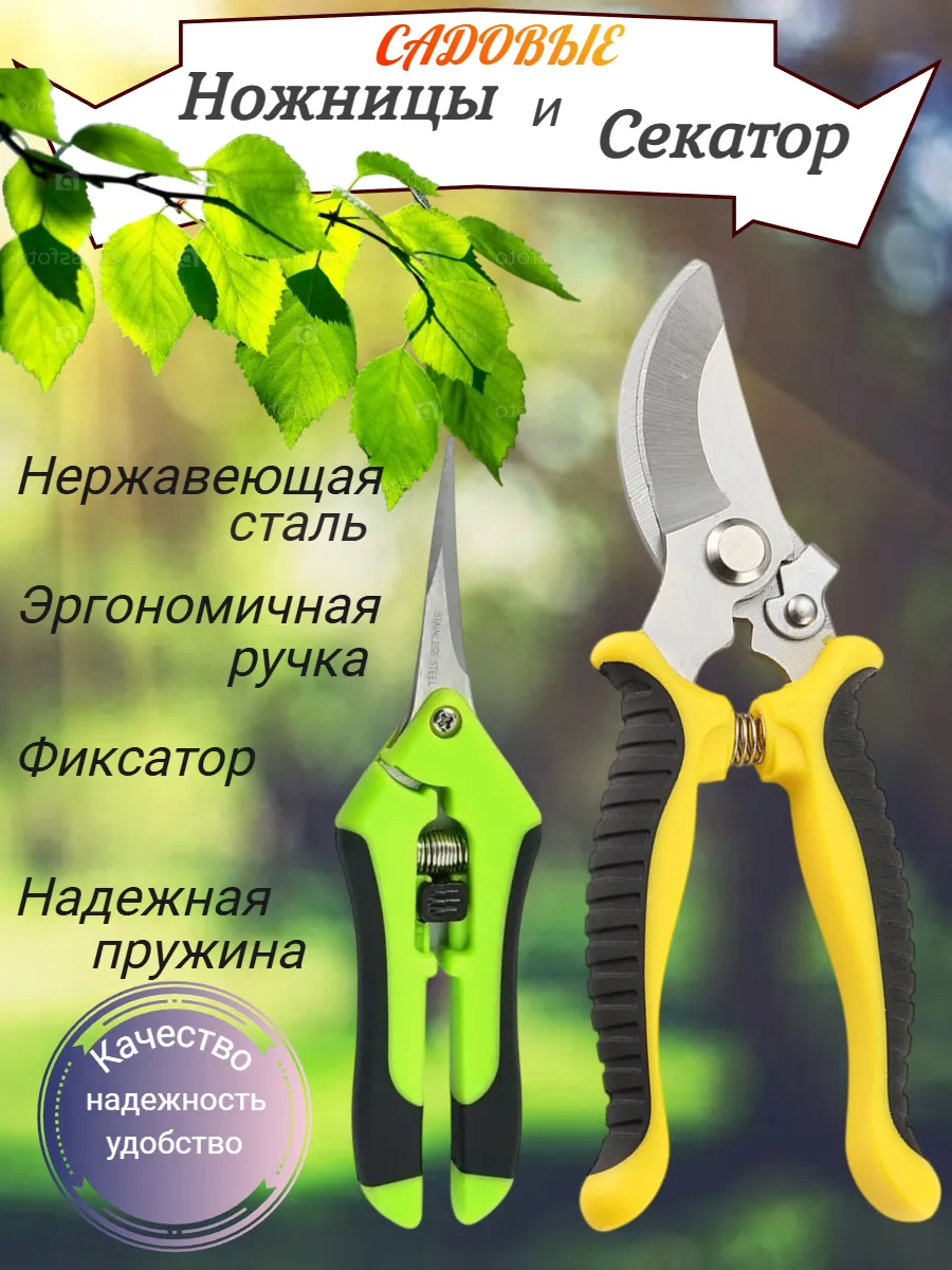 Сектор и ножницы садовые