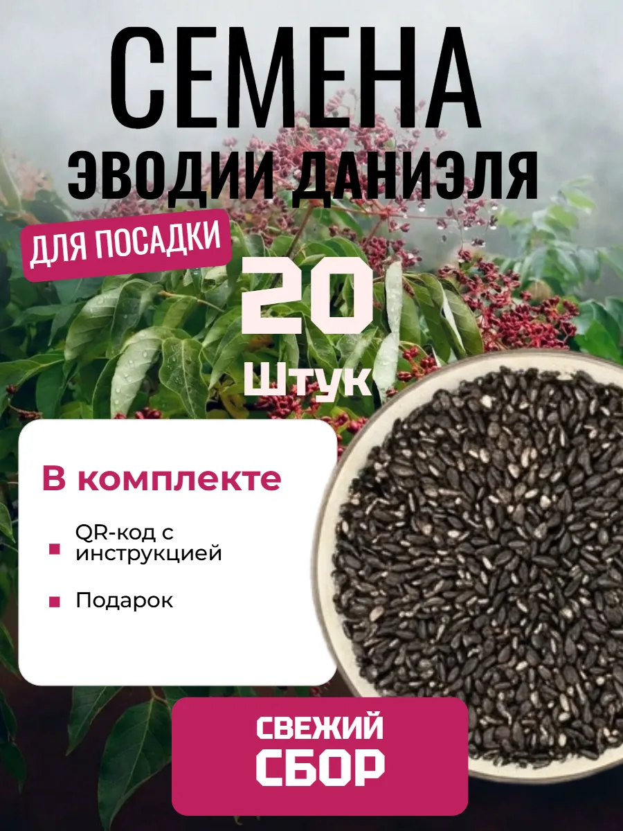 Семена Эводии пчелиное дерево, 20 шт