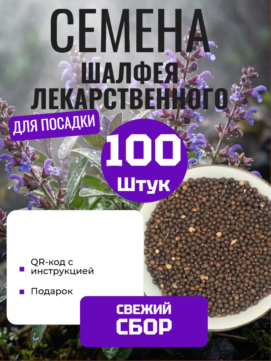 Семена Шалфея лекарственного, 100 шт