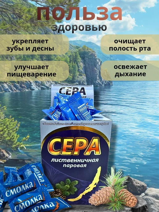 Смолка Байкальская Жевательная резинка Жевательная смола Сера (Паровая), 10 шт, фото 2