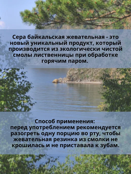 Смолка Байкальская Жевательная резинка Жевательная смола Сера (Паровая), 10 шт, фото 3