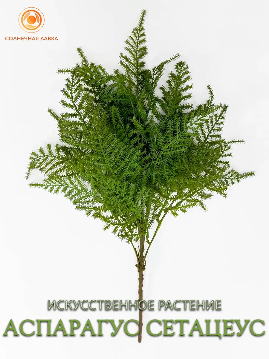 Искусственное растение Аспарагус Сетацеус 55см для декора