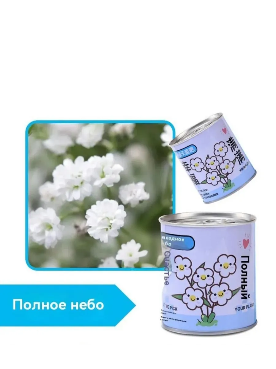 Набор для выращивания "Цветы"