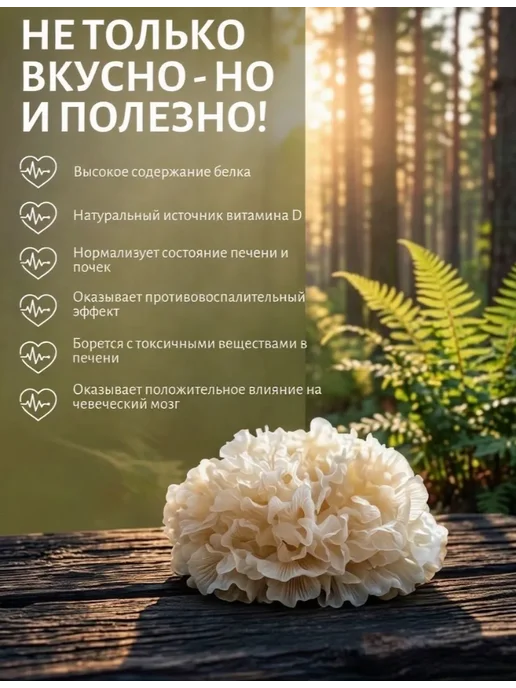 Грибы сушеные древесные Коралловый Тремелла, 100гр, 102 г, фото 2