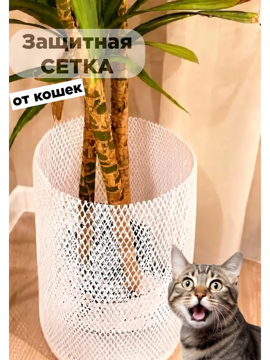 Защита для цветов и растений от кошек и детей