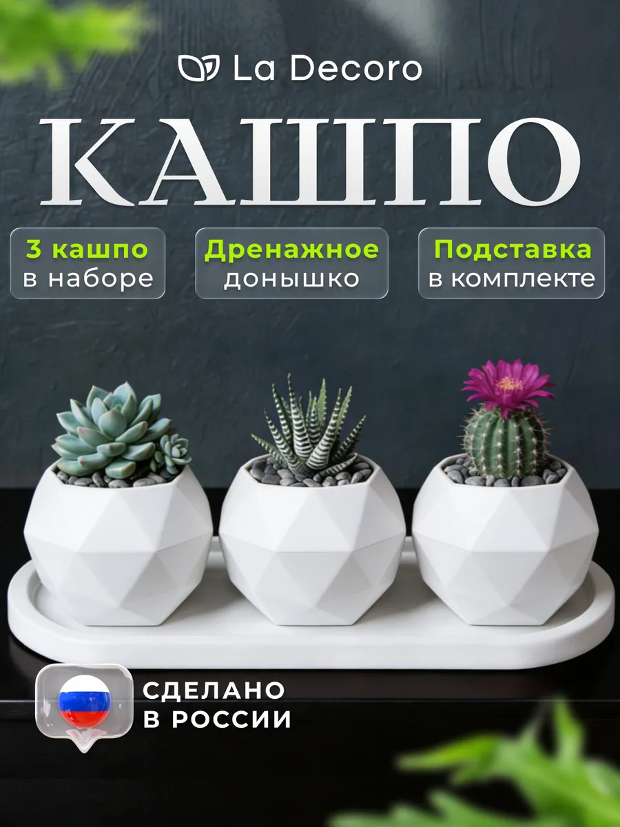 Кашпо для суккулентов, горшки для фиалок, горшок для кактуса