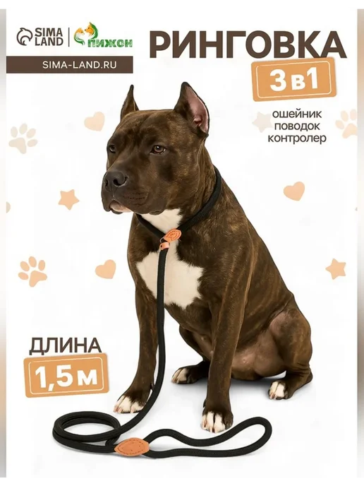 Пижон Поводок-удавка для собак, 150 см, черный, черный