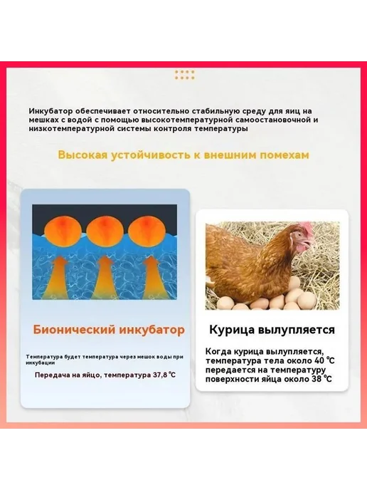 Автоматический инкубатор на 10 яиц, 220 В, вариант, фото 5