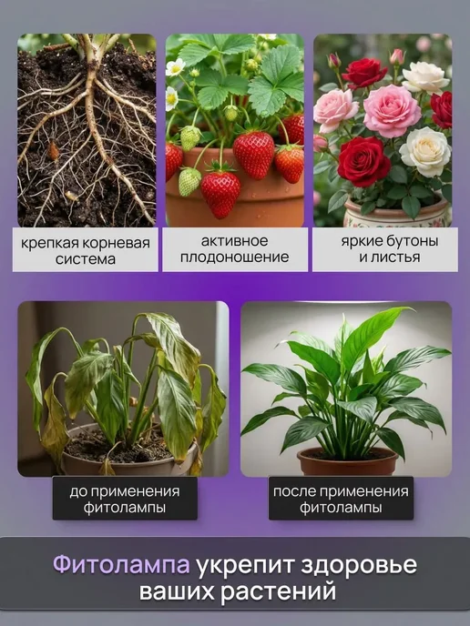 Фитолампа для растений полного спектра, полного спектра, фото 3