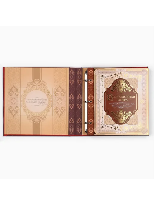 Родословная книга с рамкой под фото, 50 листов, красный, фото 4