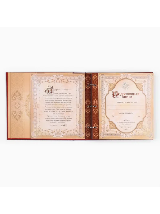 Родословная книга с рамкой под фото, 50 листов, красный, фото 7
