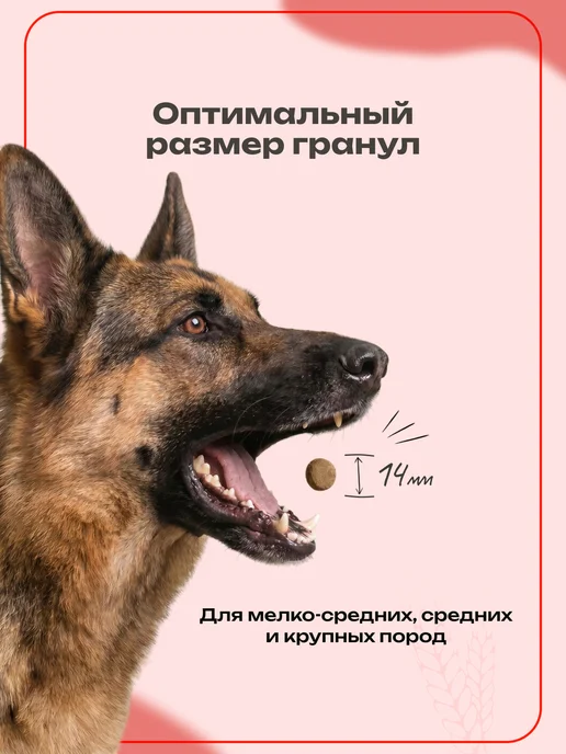 Сухой корм Darsi для собак, крупные, 10 кг, фото 4