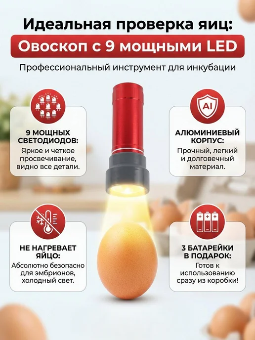 Овоскоп, вариант