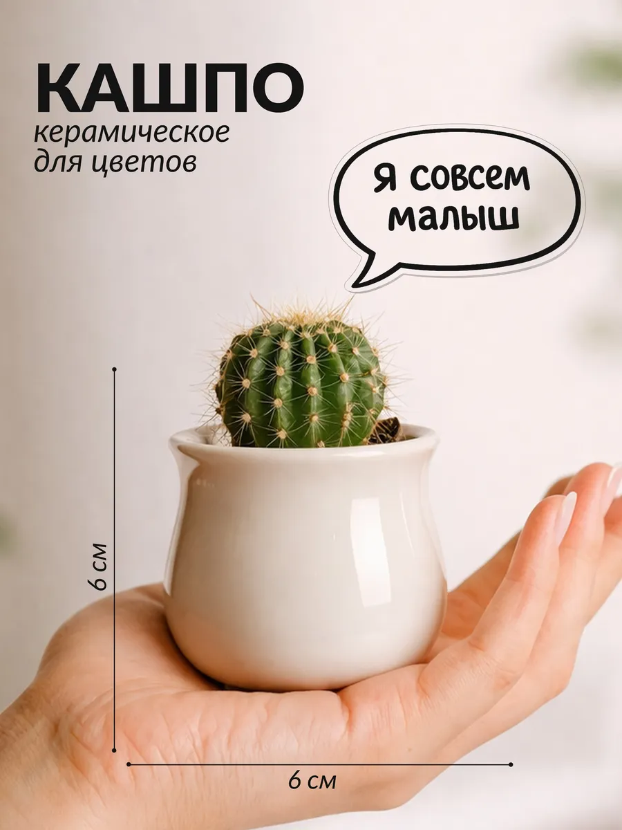 Кашпо керамическое горшок для цветов