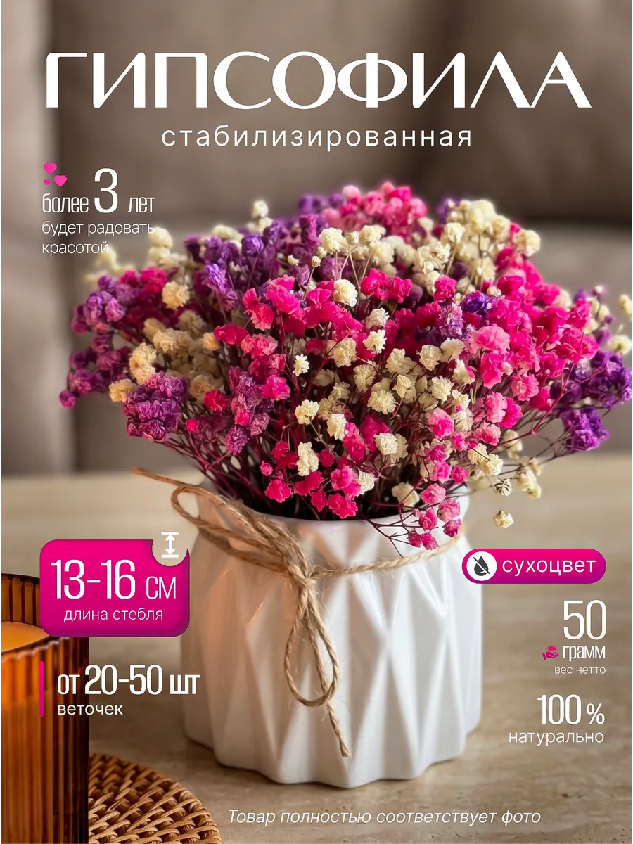 Букет сухоцветов для декора. Стабилизированные гипсофилы
