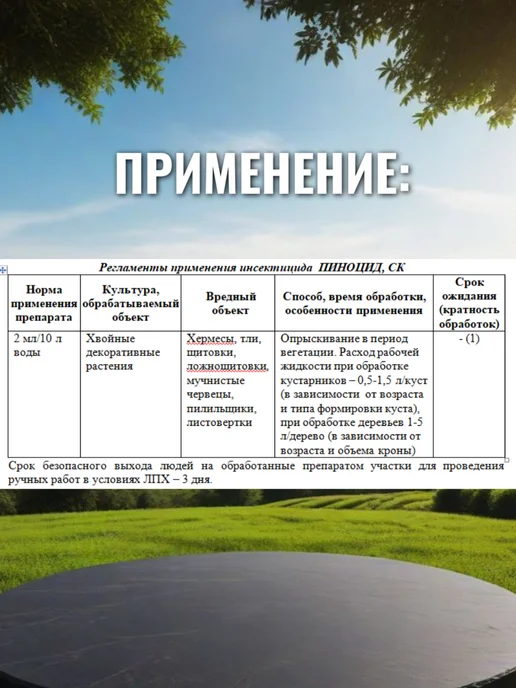 АВГУСТ Пиноцид для хвойных, вариант, фото 3