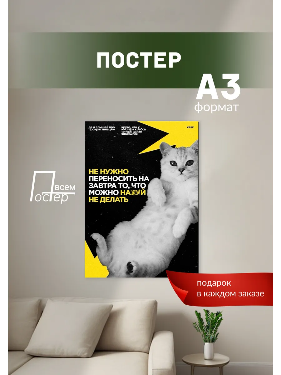 Постер на стену Котик философ