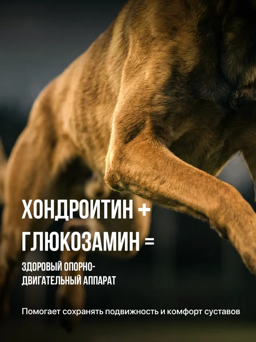 Сухой корм КОТ0ПЕС Котопес для собак, индейка, 2,5 кг, фото 8