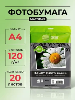 Фотобумага A4 120г м2 20л. матовая для струйной печати CACTU