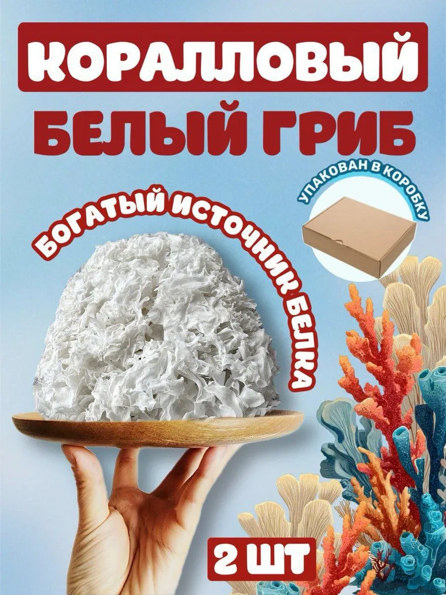 Грибы коралловые 2 шт.