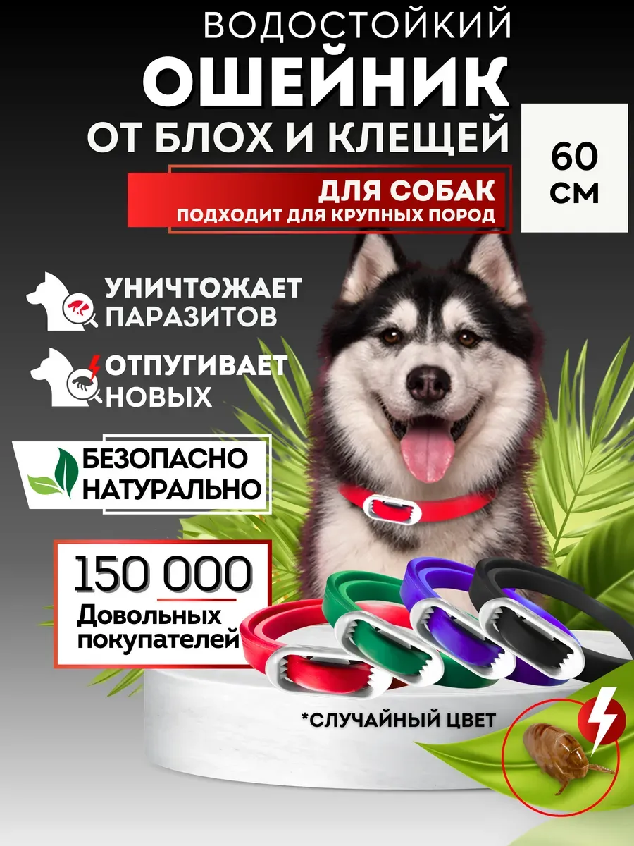 Ошейник от блох и клещей для собак 60 см