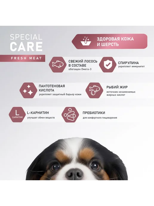 Сухой корм AWARD Кожи Шерсти для собак, лосось, 2 кг, фото 2