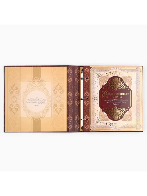 Сималенд Родословная книга Родословные фотокниги 21,5×23,7 см, 21.5x23.7 см, фото 4