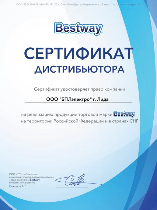 Bestway Чехол на бассейн прямоугольный крышка тент шатер накрывашка, голубой, фото 6