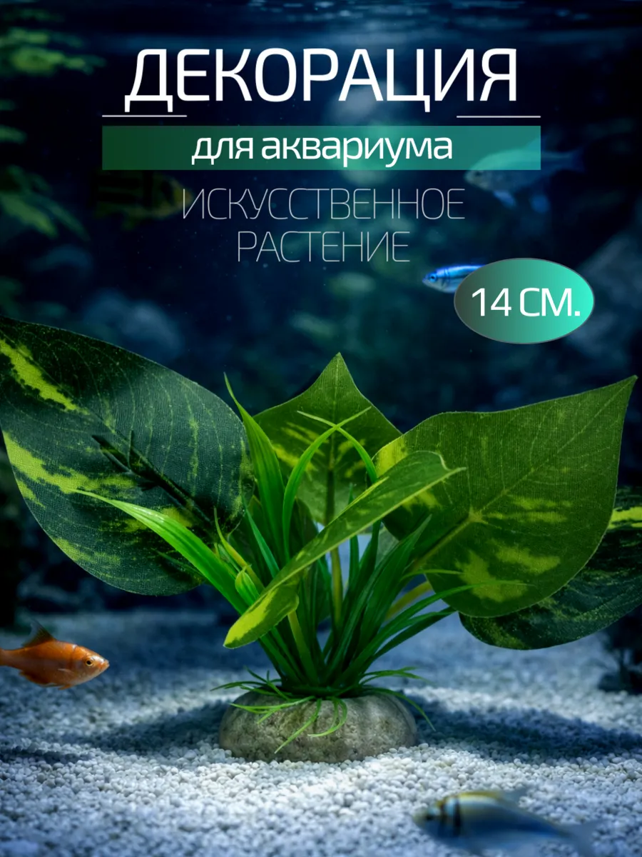 Декорация для аквариума 14 см.